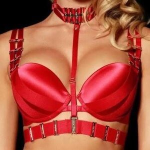 NWT Honey Birdette Samantha Bra, Harness, and Panty set 34D